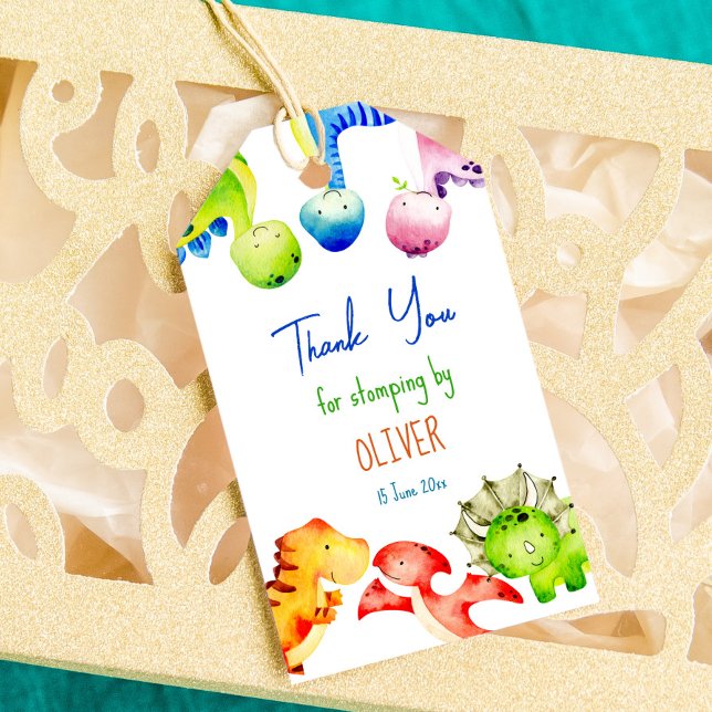 Farbenfrohe Baby-Dinosaurier Geburtstag personalis Geschenkanhänger (Von Creator hochgeladen)