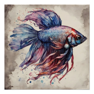 Farbenfrohe Betta Fische no 1 Glossy Poster