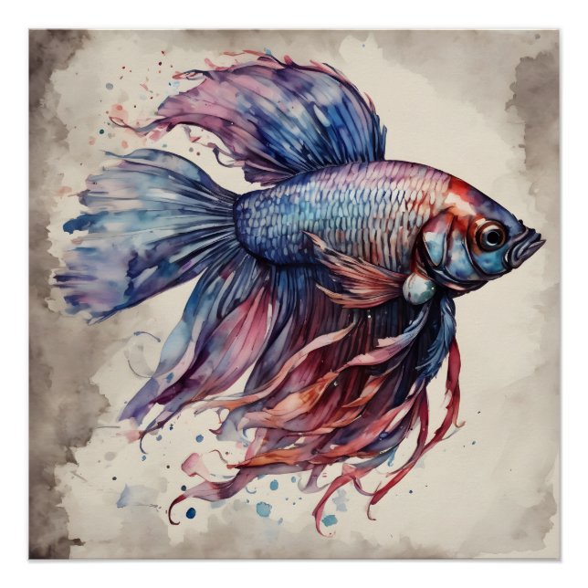 Farbenfrohe Betta Fische no 1 Glossy Poster (Vorderseite)
