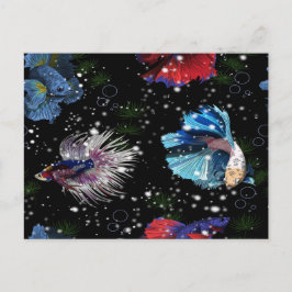 Farbenfrohe Betta Fish Postkarte