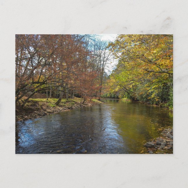 Farbenfrohe Blätter fallen Reflektionen über den H Postkarte (Vorderseite)