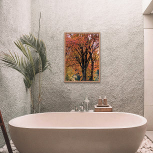 Farbenfrohe Blätter im Herbst auf Bäumen Fotodruck