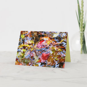 Farbenfrohe Blätter Pinakothek Züst Karte