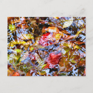 Farbenfrohe Blätter Pinakothek Züst Postkarte