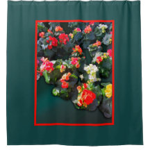 Farbenfrohe blühende Blume