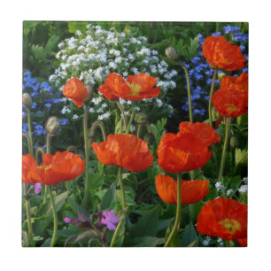 Farbenfrohe Blume Bed mit roten Mohnchen Fliese