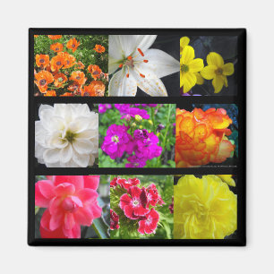 farbenfrohe Blume Magnet