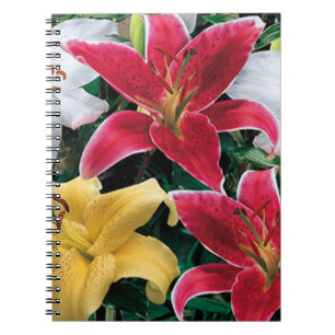 Farbenfrohe Blume SpiralNotebook Notizblock