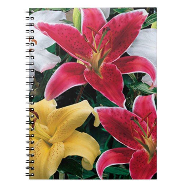 Farbenfrohe Blume SpiralNotebook Notizblock (Vorderseite)