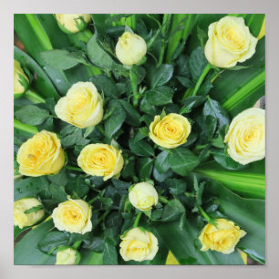 farbenfrohe+ Blumen,    Garten+ Zwerg, Poster