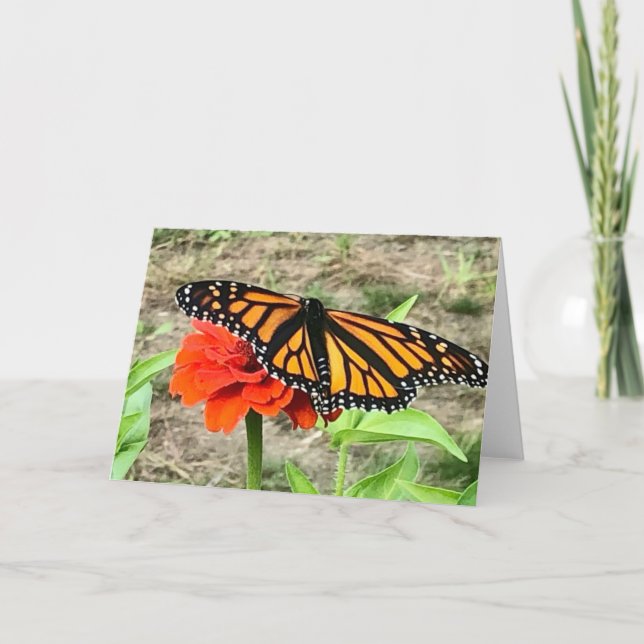 Farbenfrohe Butterfly-Begrüßung Karte (Vorderseite)