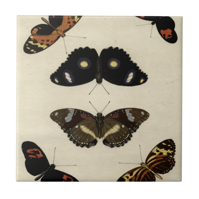 Farbenfrohe Butterfly-Medley auf Creme Background Fliese (Vorderseite)