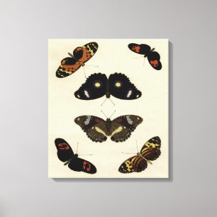 Farbenfrohe Butterfly-Medley auf Creme Background Leinwanddruck