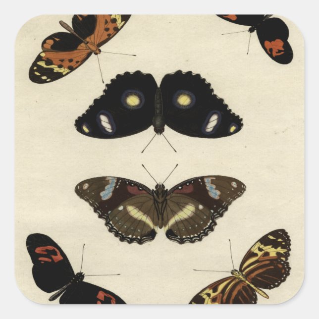 Farbenfrohe Butterfly-Medley auf Creme Background Quadratischer Aufkleber (Vorderseite)