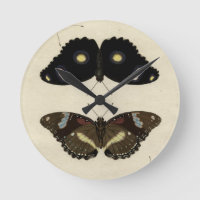 Farbenfrohe Butterfly-Medley auf Creme Background