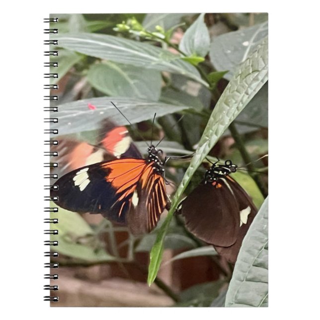 Farbenfrohe Butterfly Notizblock (Vorderseite)