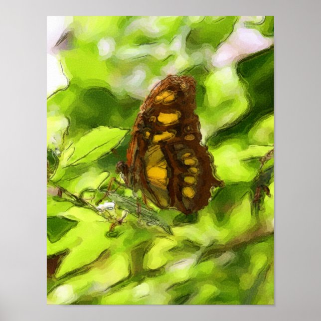 Farbenfrohe Butterfly Wasserfarben Sketch Natur Poster (Vorne)
