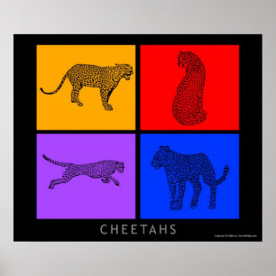 Farbenfrohe Cheetah Poster
