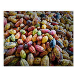 Farbenfrohe Coca Pods Fotografie Poster