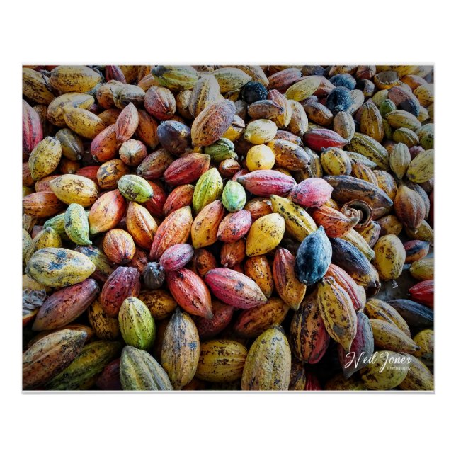 Farbenfrohe Coca Pods Fotografie Poster (Vorderseite)