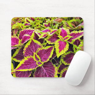 Farbenfrohe Coleus-Blätter Mousepad