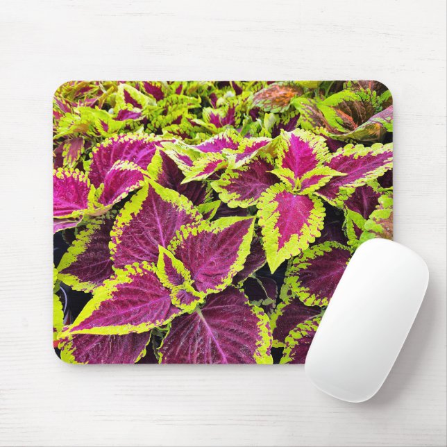 Farbenfrohe Coleus-Blätter Mousepad (Mit Mouse)