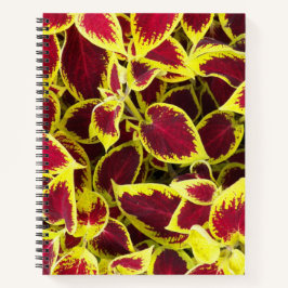 Farbenfrohe Coleus Pflanze Blätter florales Notebo Notizbuch