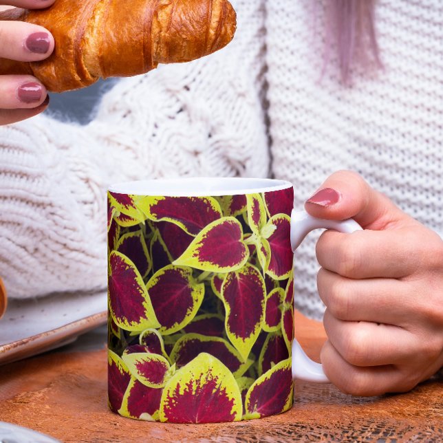 Farbenfrohe Coleus Pflanze Blätter Tasse (In Situ Food)