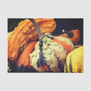 Farbenfrohe Dekorative Gourds Nah bis Herbst Dekou Seidenpapier