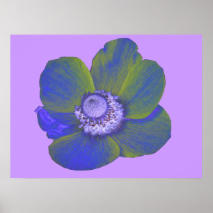 Farbenfrohe Fantasie Anemone Print Poster
