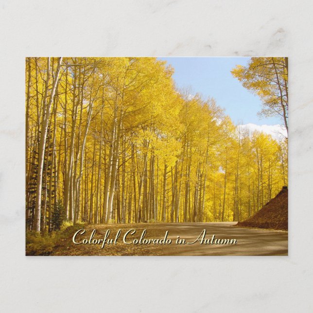 Farbenfrohe Farben im Herbst Postkarte (Vorderseite)