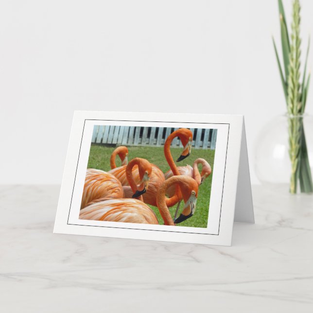 Farbenfrohe Flamingos Grußkarte Karte (Vorderseite)