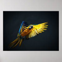 Farbenfrohe Flugbahn auf dunklem Hintergrund
