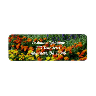 Farbenfrohe Foto-Malerei im Blumengarten