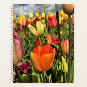 Farbenfrohe Frühlingshuppen Planer