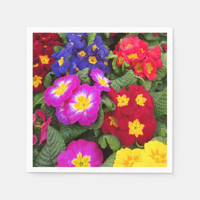 Farbenfrohe Frühlingsmedaille der Primulas-Blume Serviette (Vorderseite)
