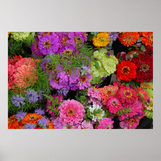 farbenfrohe Gänse Poster (Vorne)