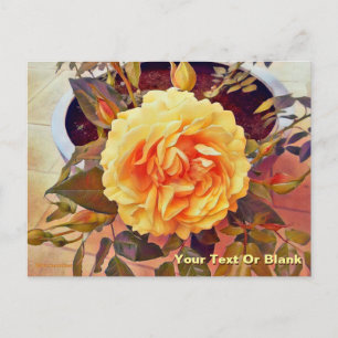 Farbenfrohe Gelbe Rose Postkarte