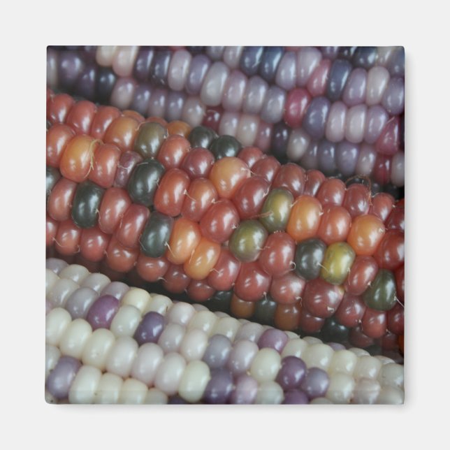 Farbenfrohe Gem Corn am Cob Magnet (Vorne)
