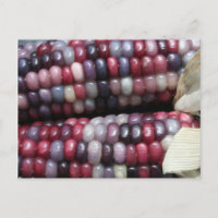 Farbenfrohe Gem Corn.