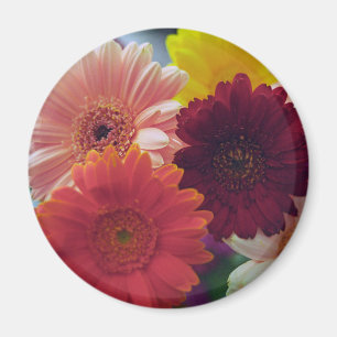 Farbenfrohe Gerbera Daisy Blume Kühlschrank Magnet