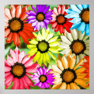 Farbenfrohe Gerberer Blume Blumendesign Poster