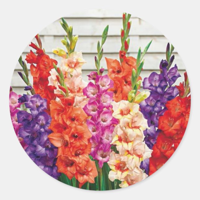 Farbenfrohe Gladiolas Umschlag Aufkleber Sticker (Vorderseite)
