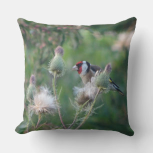 Farbenfrohe Goldfinch auf der Thistle Throw Kissen