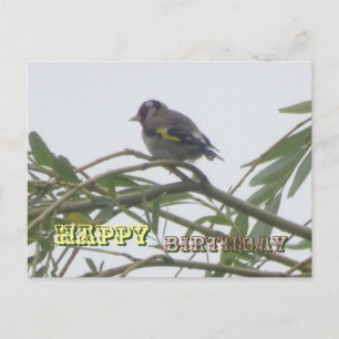 Farbenfrohe Goldfinch Happy Birthday Postcard Postkarte