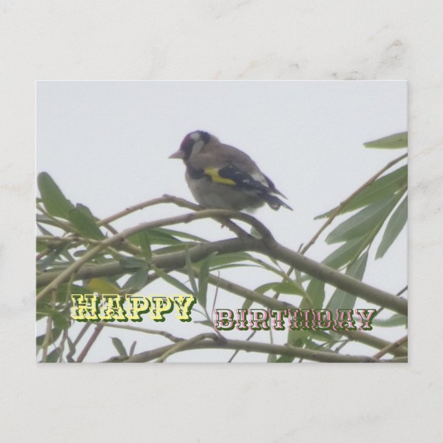 Farbenfrohe Goldfinch Happy Birthday Postcard Postkarte (Vorderseite)
