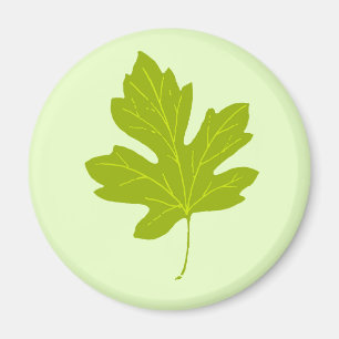 Farbenfrohe Grüne Herbstleaf Magnet