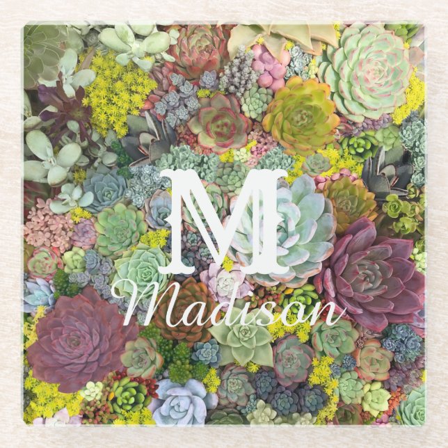 Farbenfrohe Grünpflanzen Sukkulente Glasuntersetzer (Vorderseite)