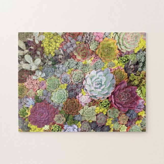 Farbenfrohe Grünpflanzen Sukkulente Puzzle (Horizontal)