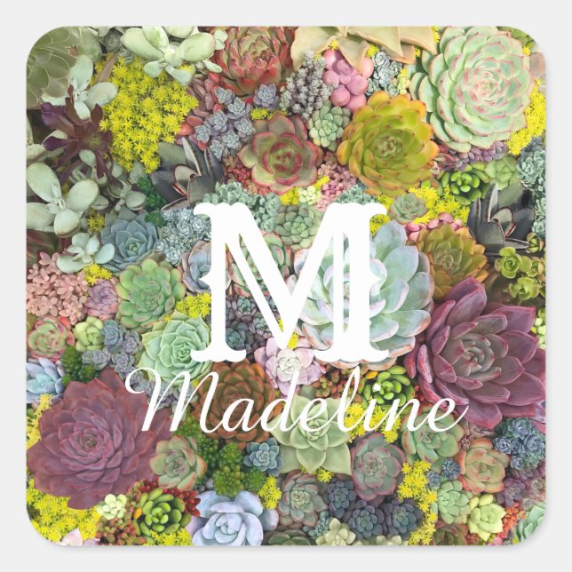 Farbenfrohe Grünpflanzen Sukkulente Quadratischer Aufkleber (Vorderseite)